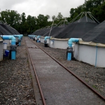 Sala smoltificaciòn Piping Pvc