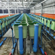 Instalacion en sala de familia Piping Pvc