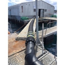 156-home_default Salmoducto