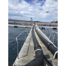 157-large_default Salmoducto