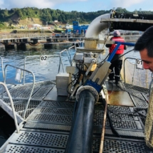 59973136-54ac-4669-b95f-ba663a50b30a Salmoducto