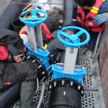 WhatsApp Image 2018-10-21 at 15.00.26 Salmoducto