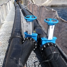 WhatsApp Image 2018-10-21 at 16.23.44 Salmoducto