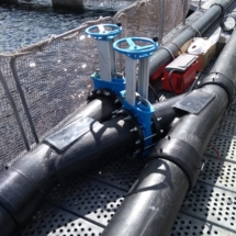 WhatsApp Image 2018-10-21 at 16.25.24 Salmoducto