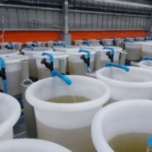 WhatsApp Image 2019-08-29 at 17.29.41 Piping PVC