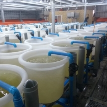 WhatsApp Image 2019-08-30 at 14.59.19 (1) Piping PVC